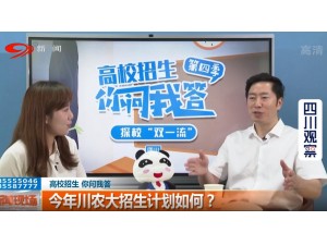 四川电视台采访直播
